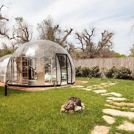 Folia - Natural Experience