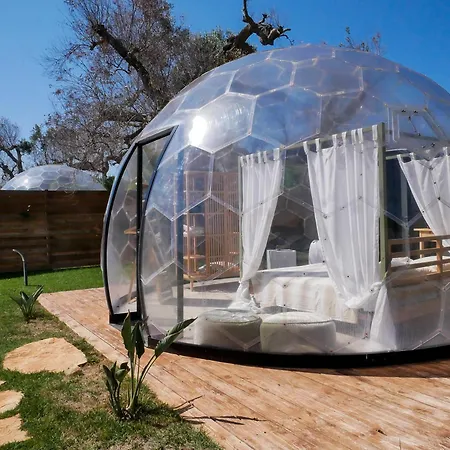 Folia - Natural Experience