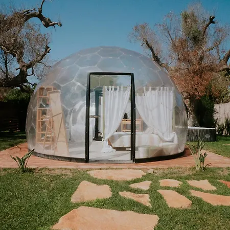 Luxury tent Folia - Natural Experience *