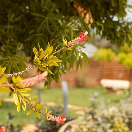 Folià - Natural Experience San Vito dei Normanni