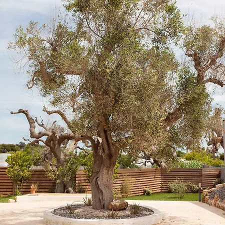 Folià - Natural Experience Campismo de Luxo San Vito dei Normanni