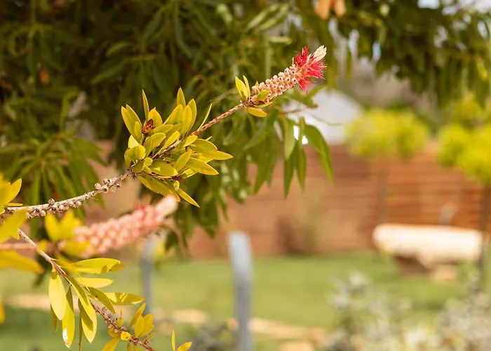 Folia - Natural Experience San Vito dei Normanni